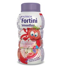 FORTINI SMOOTHIE MF FRUTTI RO