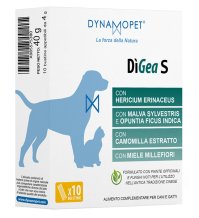 DIGEA S 10BUSTE 4GR DYNAMOPET