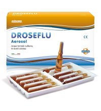 DROSEFLU Aerosol 10f.2ml