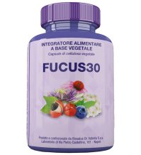 FUCUS30 60CPS 29,4G