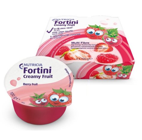 FORTINI CREAMY FRUIT FR RO 4PZ