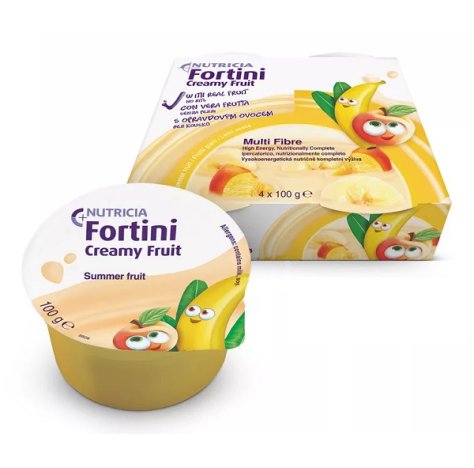 FORTINI CREAMY FRUIT FR GI 4PZ