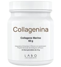 Collagenina Integratore 240g