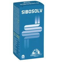 SIBOSOLV 60Cps AcidoResisti