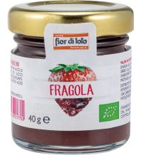 MINICOMPOSTA ALLA FRAGOLA 40G