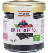 MINICOMPOSTA FRUTTI BOSCO 40G