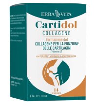 Cartidol Collagene 14bust