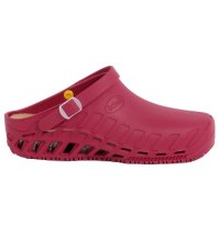 CLOG Evo Wine 42/43