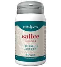 SALICE 60 Cps              EBV