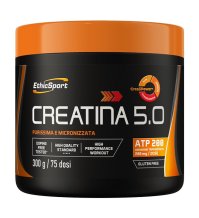 CREATINA 5.0 300G