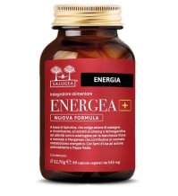 Energea+ Nf Salugea 60cps
