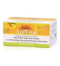 APIVITAL 15STICK PACK 20ML