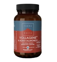 TERRANOVA VOLLAGENE&ACIDO50CPS