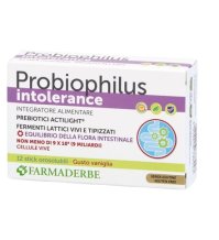 PROBIOPHILUS Into 12 Stick