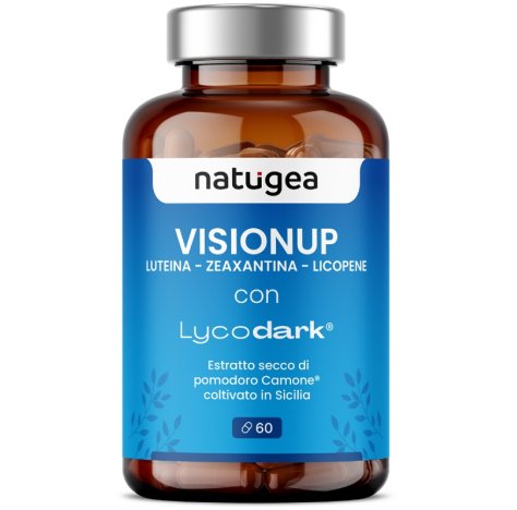 VISIONUP 60CPR VISIONUP 60CPR