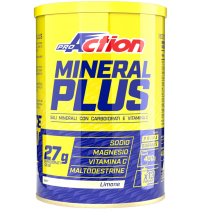 PROACTION Mineral P Lim.400g