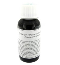 07N SOLIDAGO VIRG COMP 60ML LVS