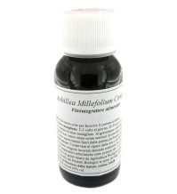 LVS 14S ACHILLEA MILLEFOL COMP