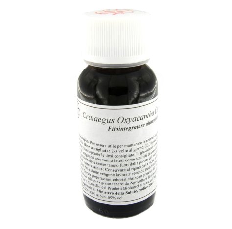 17S CRATAEGUS OXYACANT COMP LVS 17S CRATAEGUS OXYACANT COMP LVS