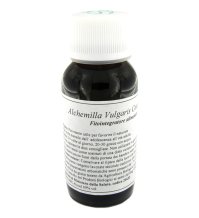 19N ALCHEMILLA VULGAR COMP LVS