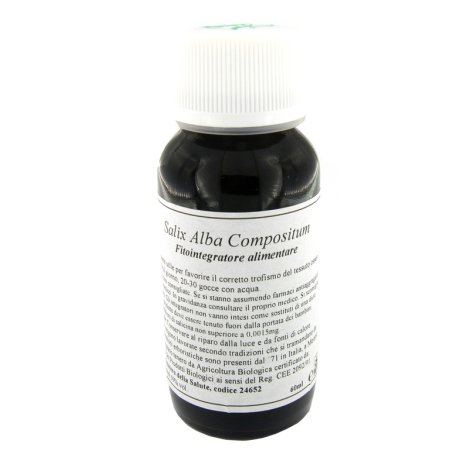LVS 38N Salix Alba Comp.