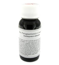 LVS 63S Ilex Paraguariens Comp