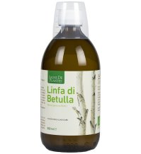 LINFA DI BETULLA 500ML NATURA