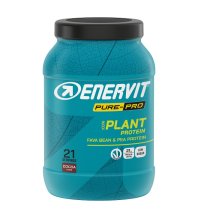 ENERVIT PP PROTEIN PLANT CACAO