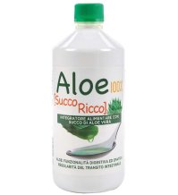 ALOE BIO SUCCO/POLPA 100% 1LT