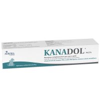 KANADOL PASTA 30G