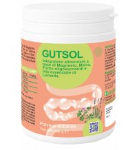 GUTSOL 100G