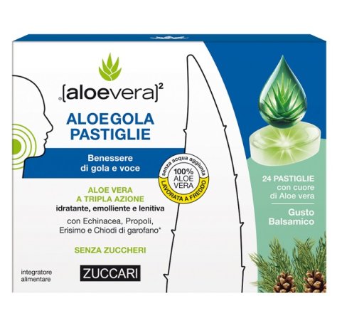 Aloegola Balsamico 20past