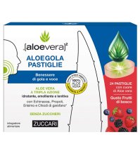Aloegola Frutti Rossi 20past