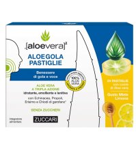 Aloegola Miele/limone 20past