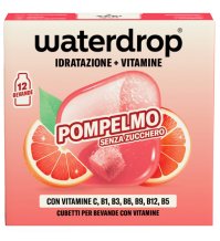WATERDROP MICRODRINK POMP12CUB