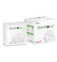 ARTEBIOME 30 Bust.1g