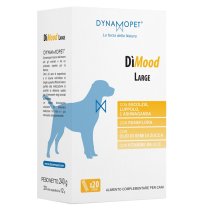 DIMOOD LARGE 20 Stick 12g