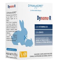 DYNAMO R 20STICK 2 5G