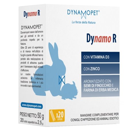 DYNAMO R 20STICK 2 5G DYNAMO R 20STICK 2 5G
