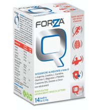 FORZA Q 14 Bust. FORZA Q 14 Bust.