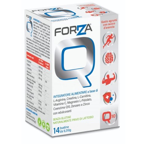 FORZA Q 14 Bust. FORZA Q 14 Bust.