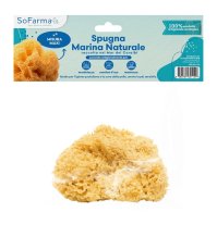 SPUGNA MARINA NATURALE MAXI SF+