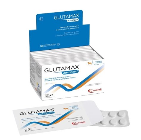 GLUTAMAX Advanced 120 Cpr GLUTAMAX Advanced 120 Cpr