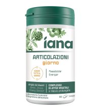 IANA Articolaz.Giorno 60Cpr