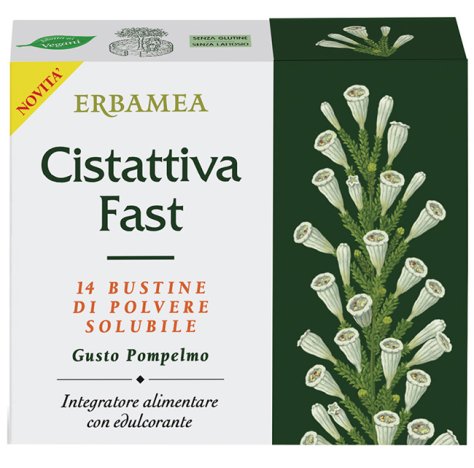 Cistattiva Fast 14bust Cistattiva Fast 14bust