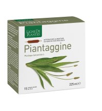 PIANTAGGINE 15AMP 15ML NATURA