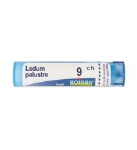 LEDUM PALUSTRE 9CH GR BO LEDUM PALUSTRE 9CH GR BO