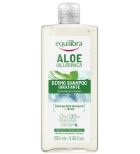 EQUILIBRA CAPELLI ALOE SHAMPOO EQUILIBRA CAPELLI ALOE SHAMPOO
