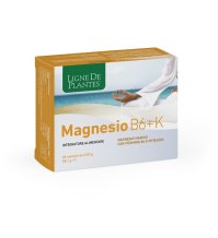 MAGNESIO B6 + K 60CPS NATURA S