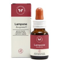 BASEGEMMO LAMPONE 30ML